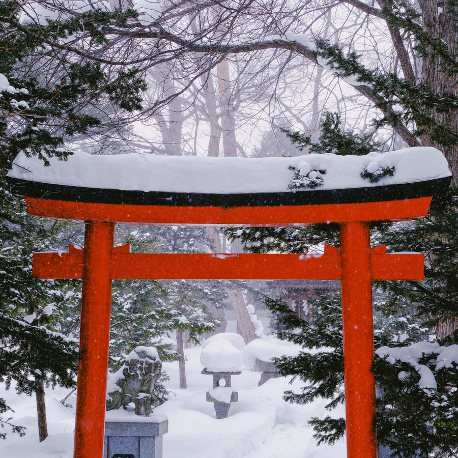 Hokkaido in White: A 7-Day Winter Escape — 1