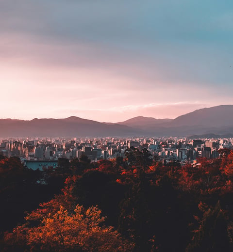 Priの完璧なゆったり東京旅 — 2