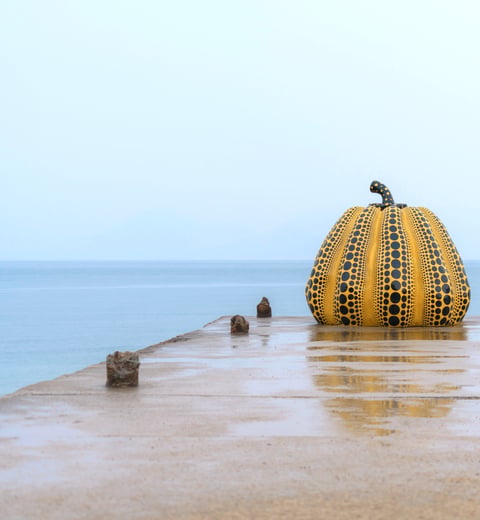 12일 "최고의 문화" 일본 여행 일정 — 4