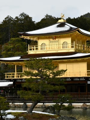 Winter Adventure in Japan — 3