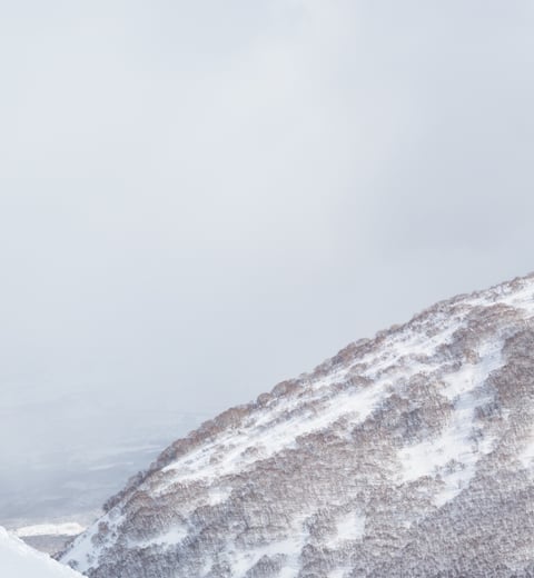 Skíðað í Niseko - Dagar 4-11