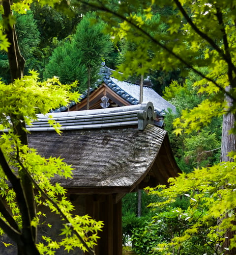 Japan Engineering Study Tour — 4
