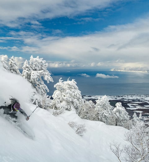 Skíðað í Niseko - Dagar 4-11
