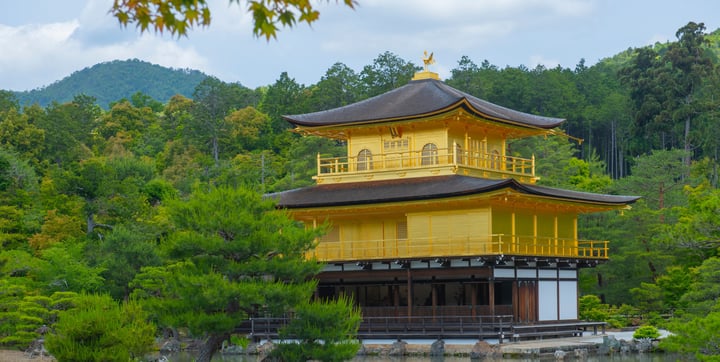 10-day Golden Route - Tokyo, Hakone, Kyoto and Osaka — 4