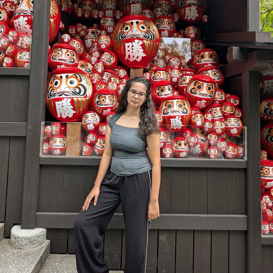 The Japan itinerary I wish I'd had before our first trip — 1