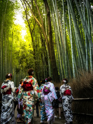 Arashiyama.jpg