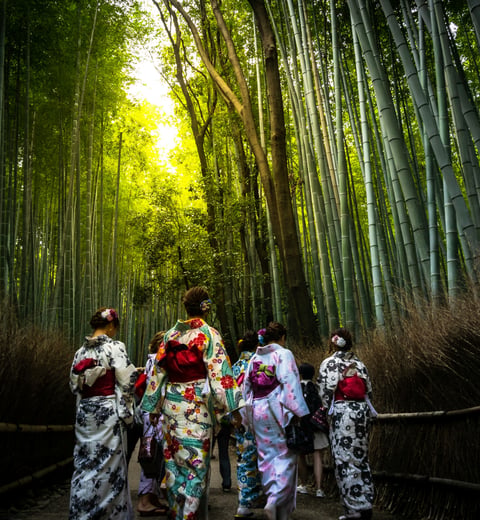 2-Week Golden Route - Tokyo, Kyoto, Osaka — 3