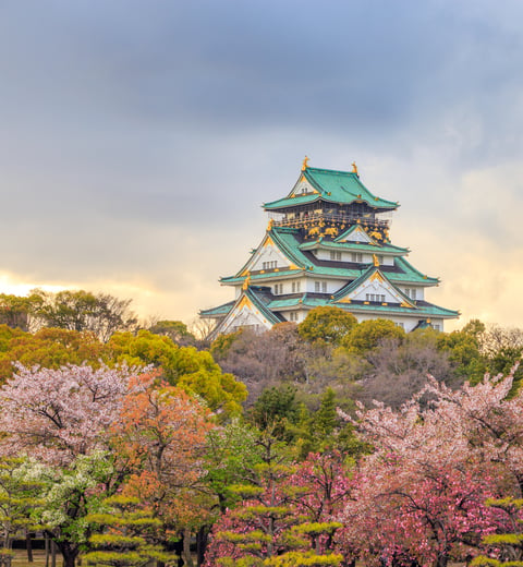 14 days in Tokyo, Kyoto, Osaka, Hakone — 3
