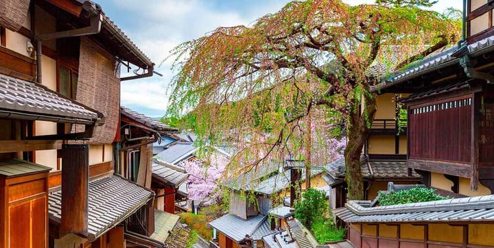 Viaje de 10 días a Tokio, Kioto y Osaka — 4