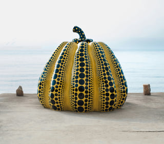 2-week trip to Tokyo, Kyoto, Osaka, Naoshima