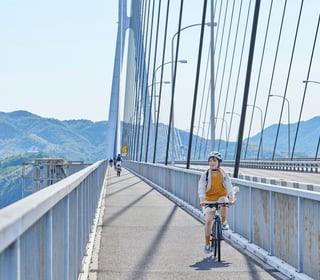 12 Day "Maximum Culture" Japan Itinerary