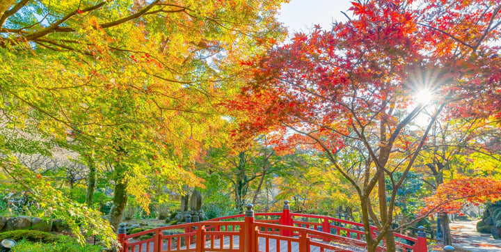Classic Film & TV Locations: 12 Days in Japan — 4