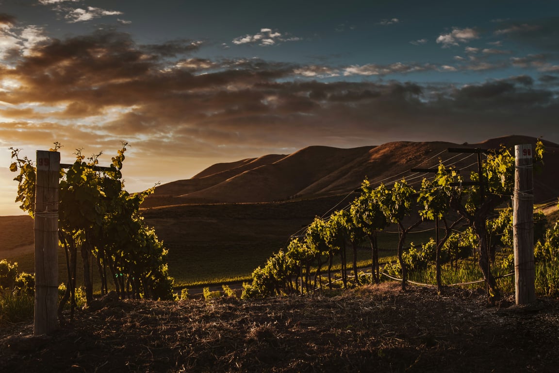 Secret Priorat Valleys