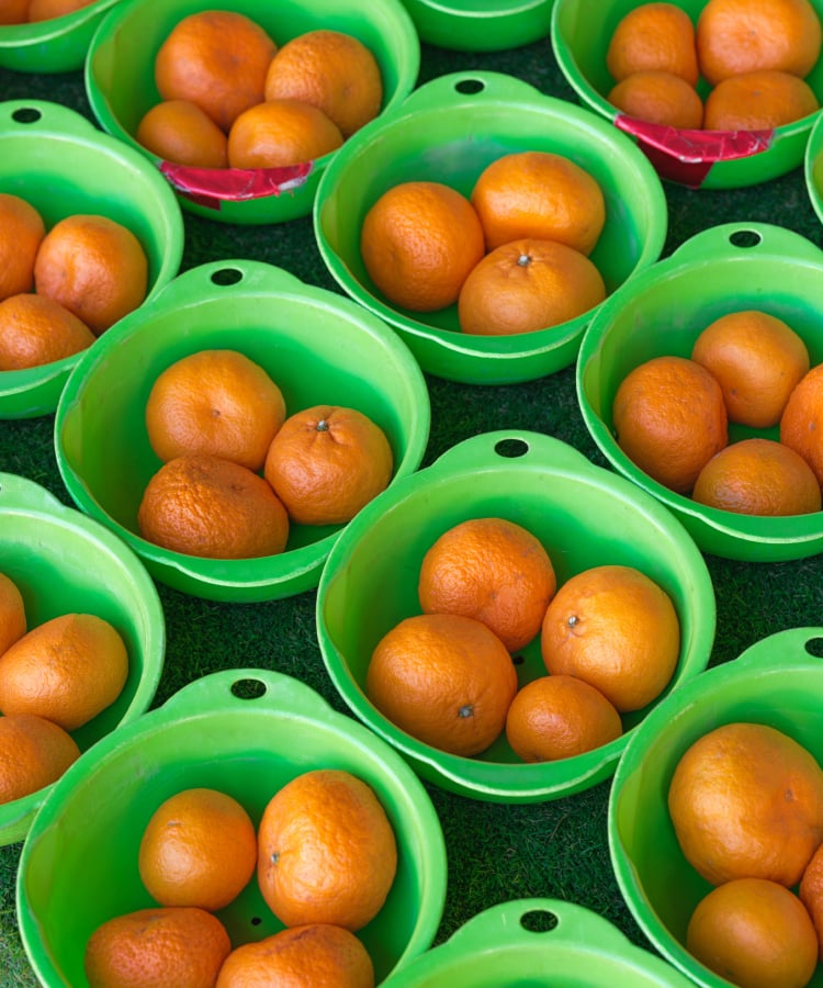 ボウルに盛られた新鮮なみかん