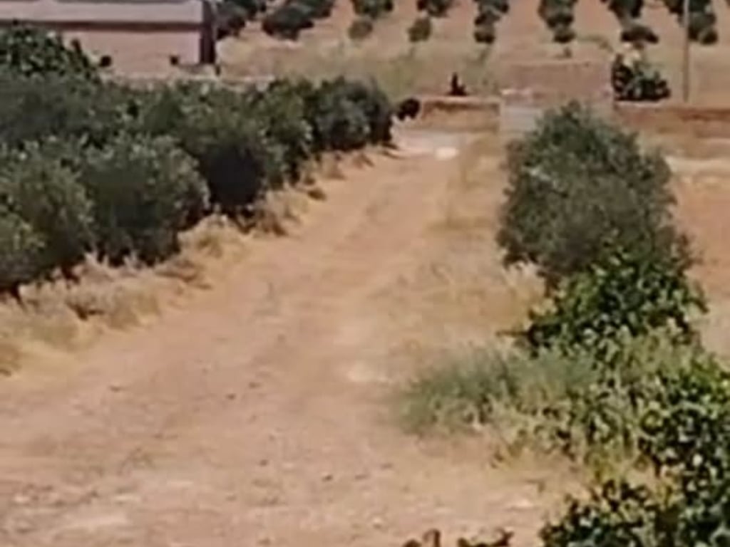 تجربة عقار