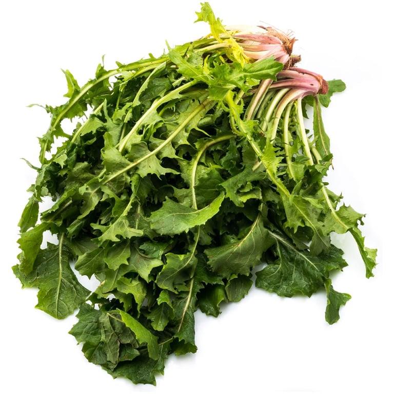 Chicory