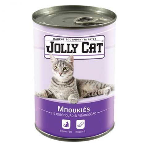 Jolly Cat Cat Food Chunks Chicken-turkey 405g