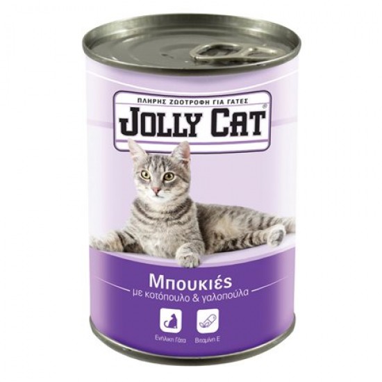 Jolly Cat Cat Food Chunks Chicken-turkey 405g