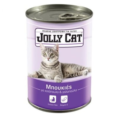 Jolly Cat Cat Food Chunks Chicken-turkey 405g