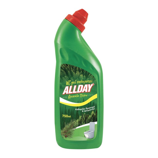Allday Toilet Gel Pine 750ML