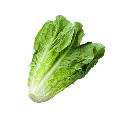 Local Lettuce