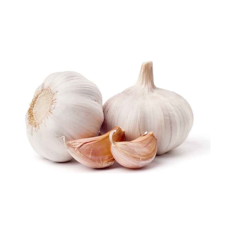 Garlic