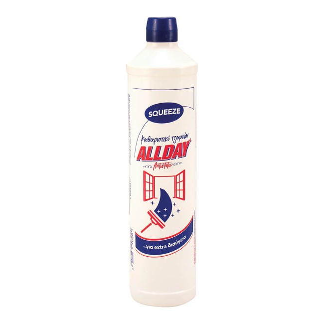 Allday Glass Cleaner Squeeze 750ML