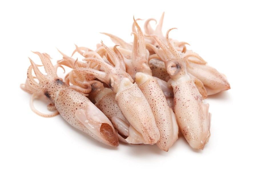 Whole Squid 595g