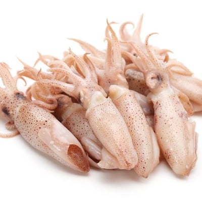 Whole Squid 595g