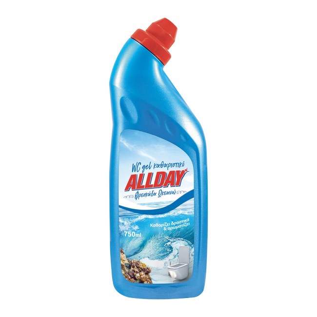 Allday Toilet Gel Spring 750ML