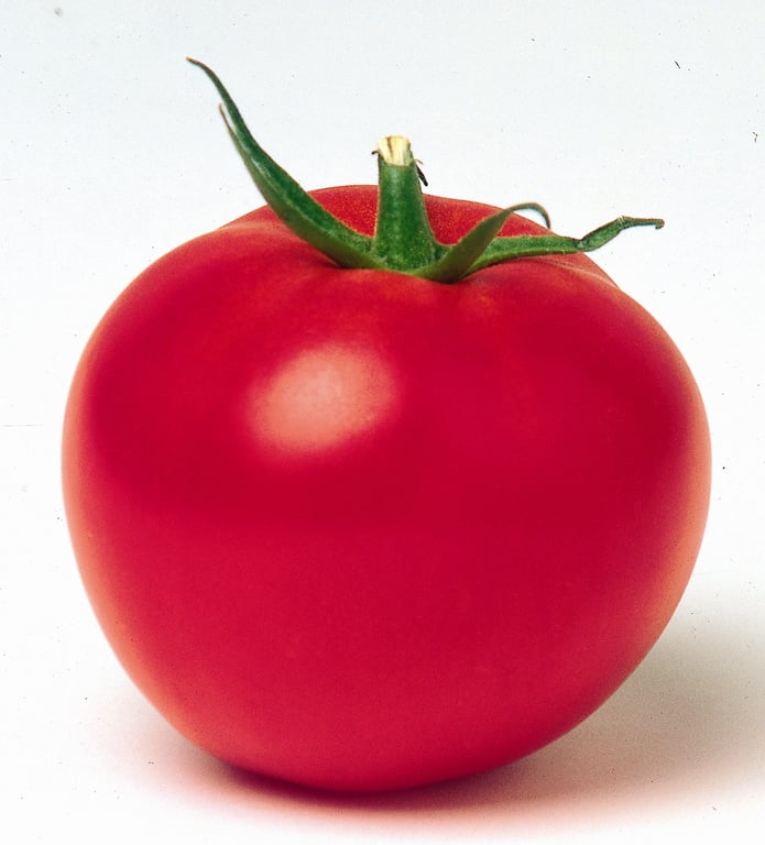 Kos Tomatoes
