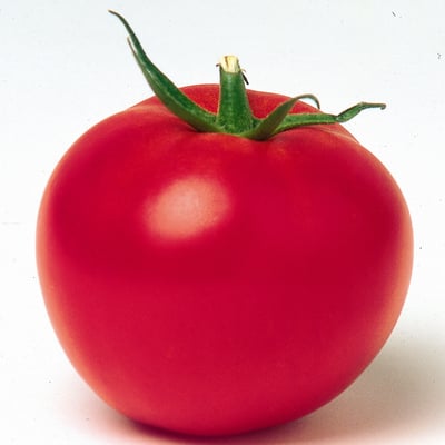 Kos Tomatoes