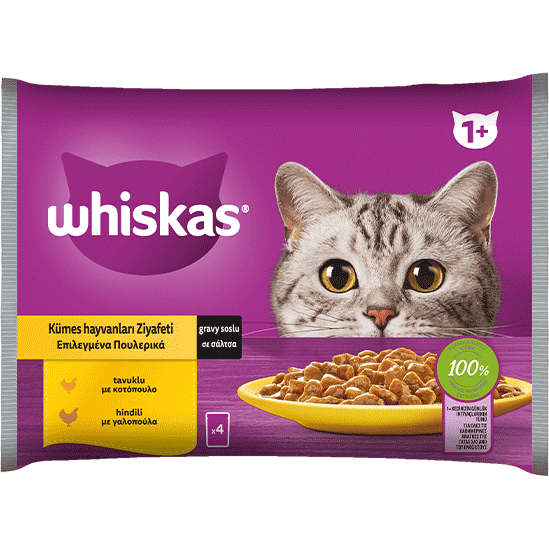 Whiskas Adult Pure Delight Poultry in Jelly 85g x4