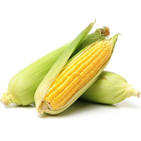 Corn