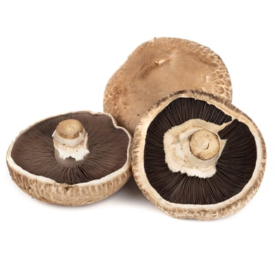Portobello Mushrooms 500g