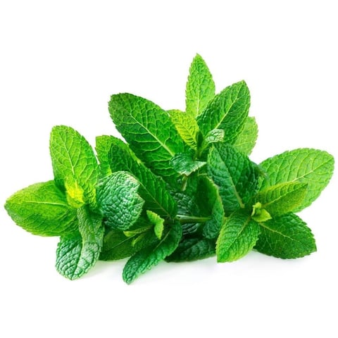 Mint Bunch