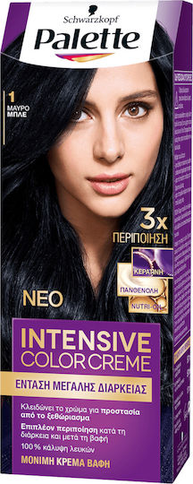 Palette Hair Dye N.01 Black Blue 50ml