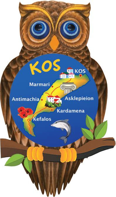 Owl Magnet