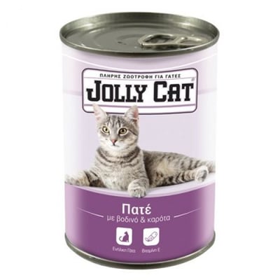 Jolly Cat Cat Pate Beef Carrots 400g