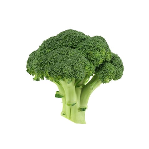 Broccoli