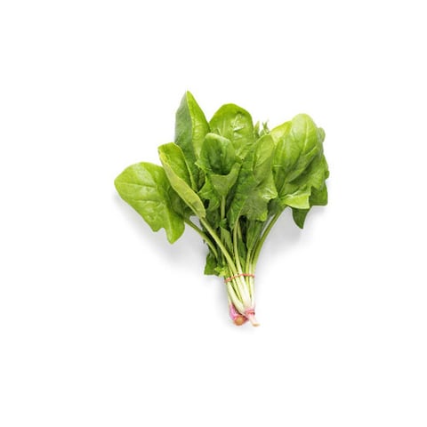 Fresh Spinach