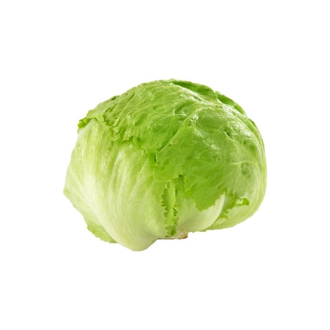 Iceberg Lettuce