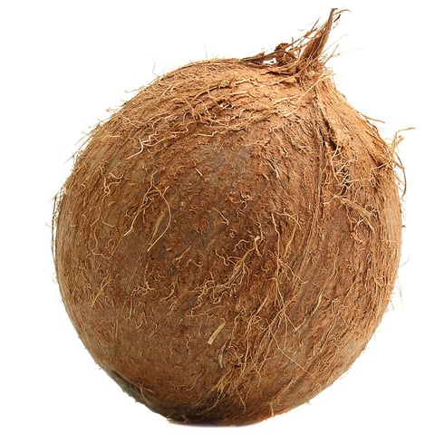 Ivory Coast Coconut