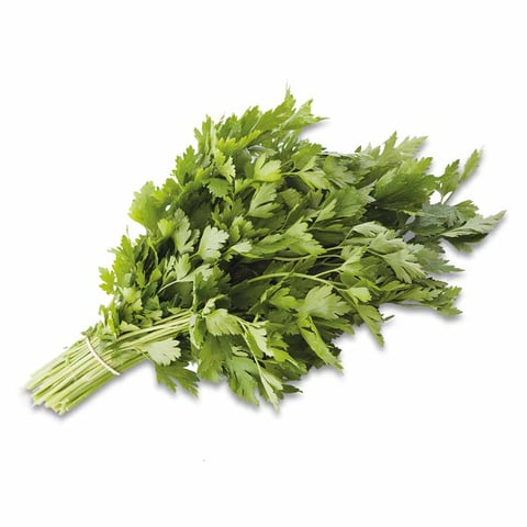 Parsley Bunch
