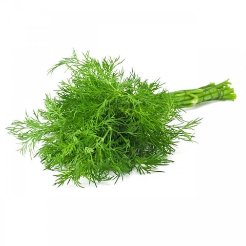 Dill Bunch