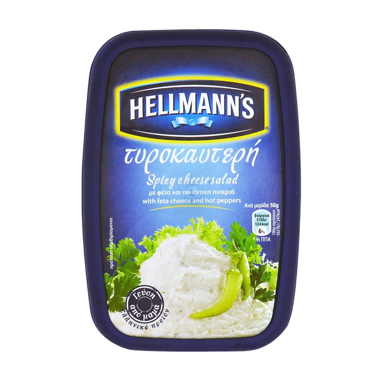 HELLMANN'S Spicy Cheese Dip 250g