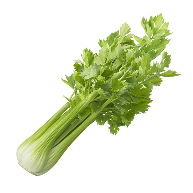 Imported Celery