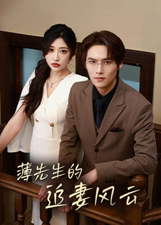 薄先生的追妻风云