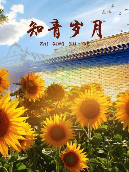知青岁月