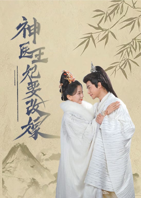 神医王妃要改嫁 